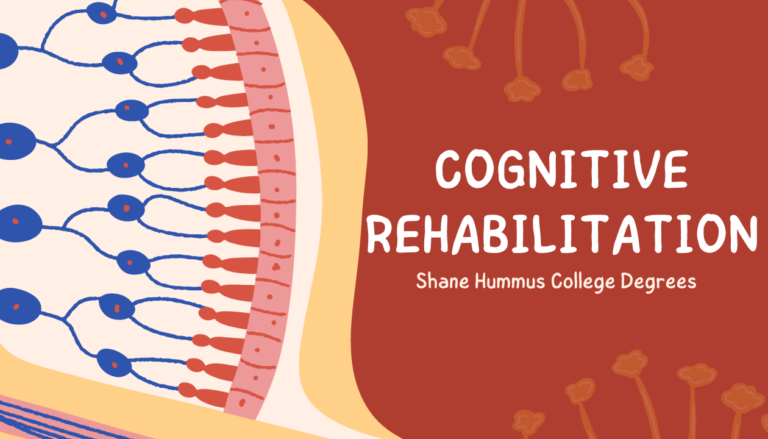 Mind-Blowing Facts of Cognitive Rehabilitation